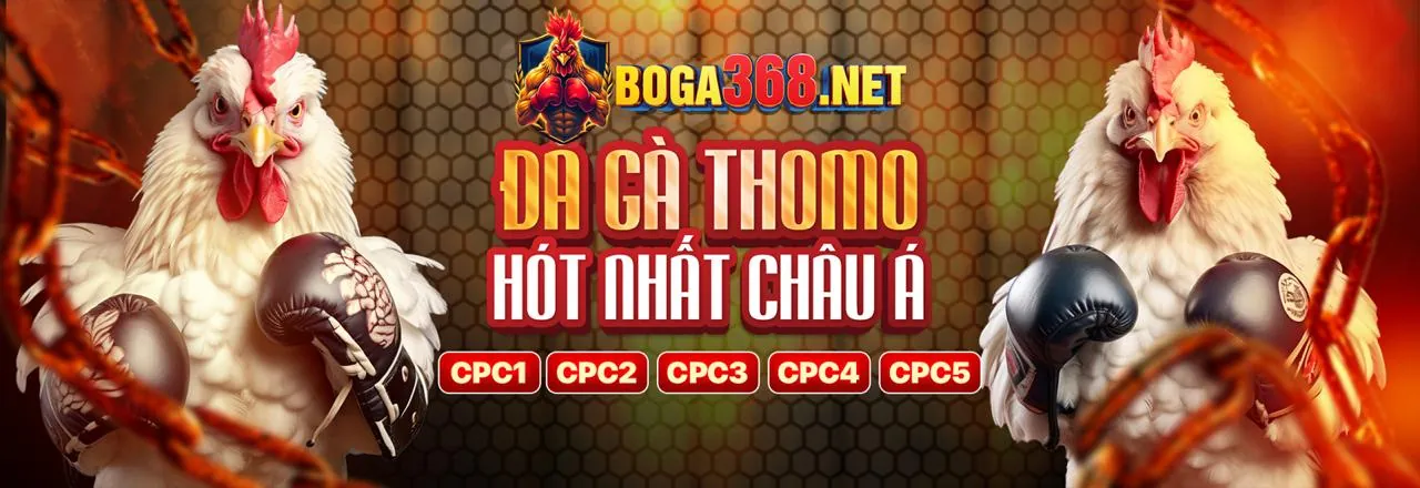 Sân đấu đá gà kịch tính tại hot789 Club